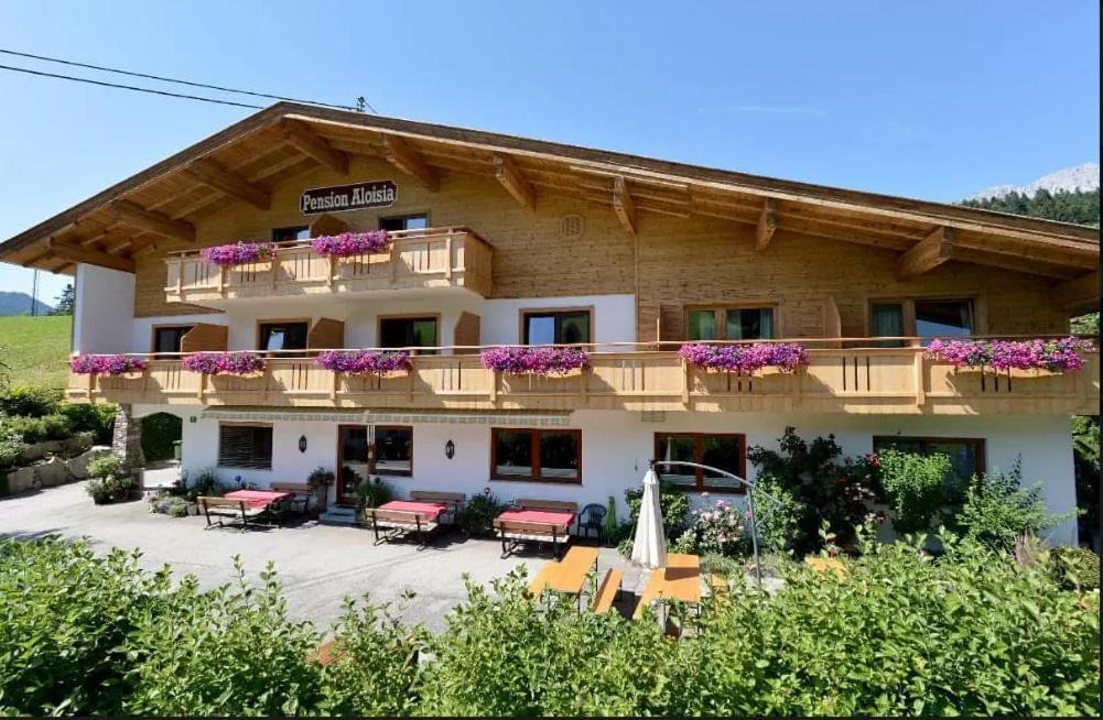 Pension Aloisia Scheffau am Wilden Kaiser Bagian luar foto