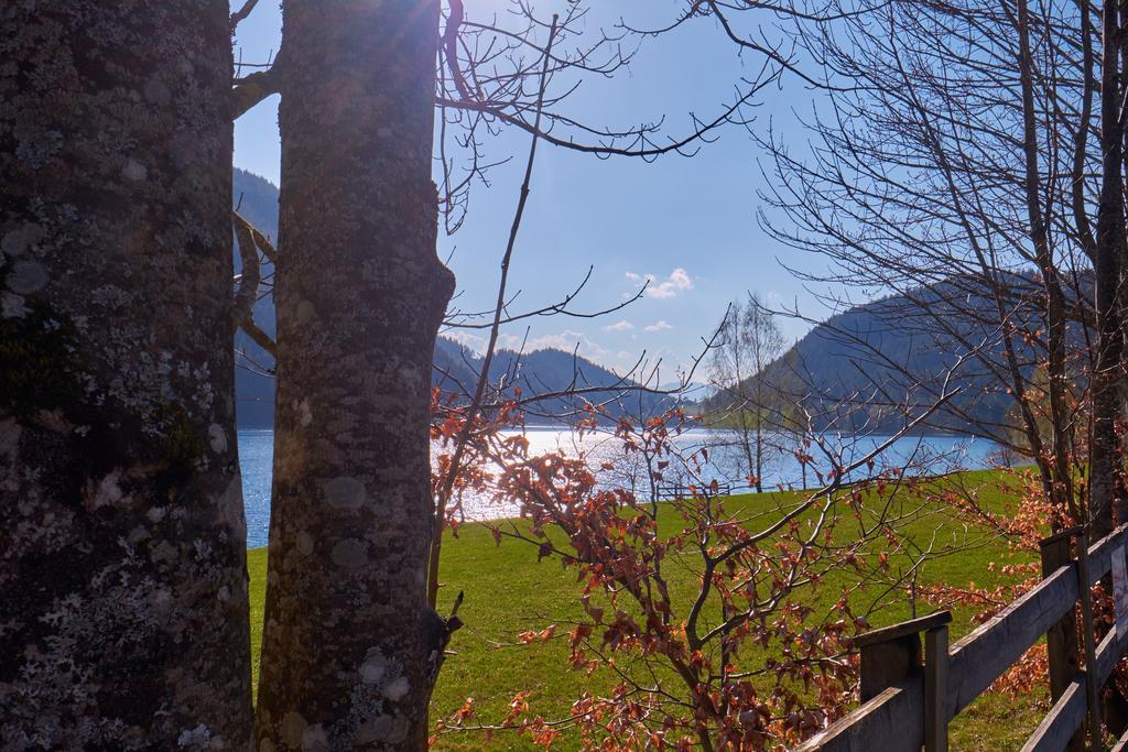Pension Aloisia Scheffau am Wilden Kaiser Bagian luar foto
