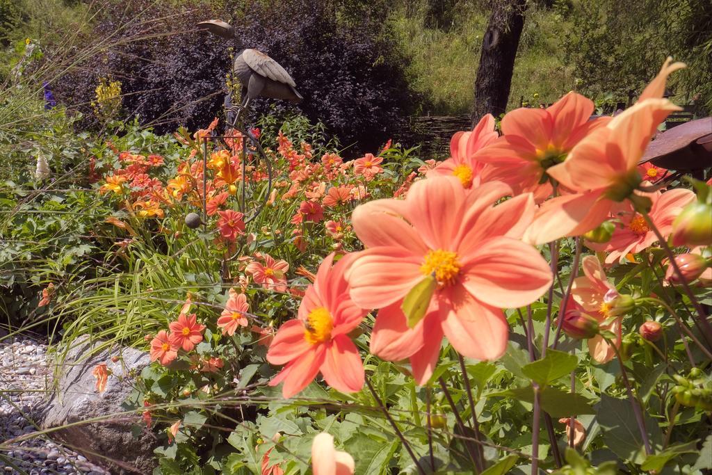 Pension Aloisia Scheffau am Wilden Kaiser Bagian luar foto