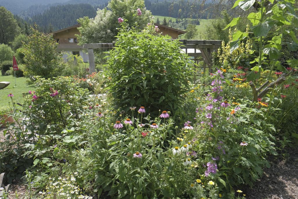 Pension Aloisia Scheffau am Wilden Kaiser Bagian luar foto