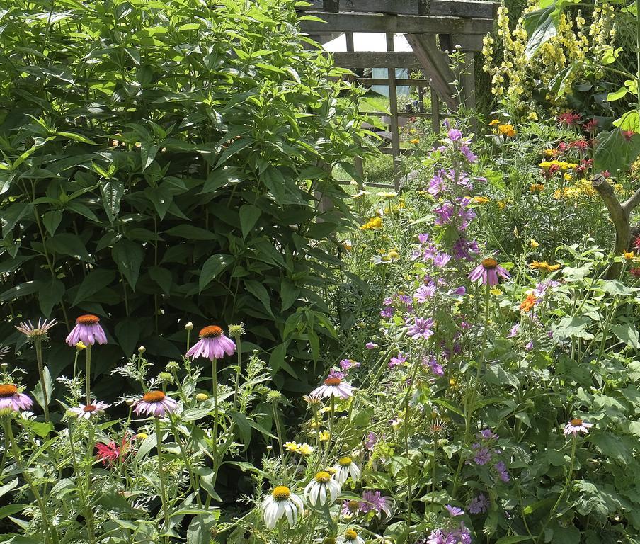Pension Aloisia Scheffau am Wilden Kaiser Bagian luar foto