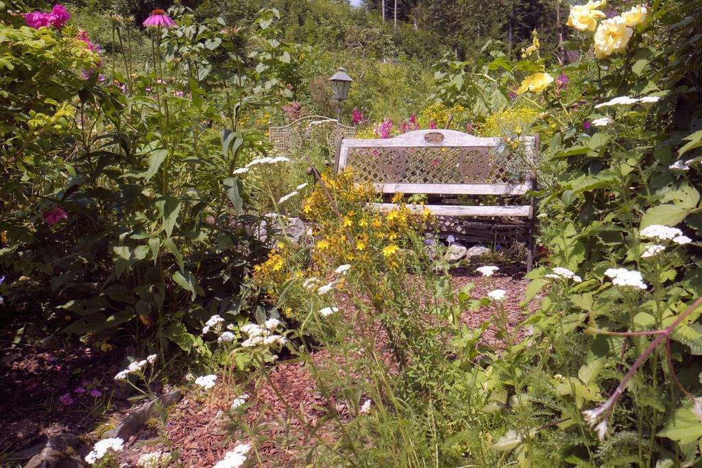 Pension Aloisia Scheffau am Wilden Kaiser Bagian luar foto