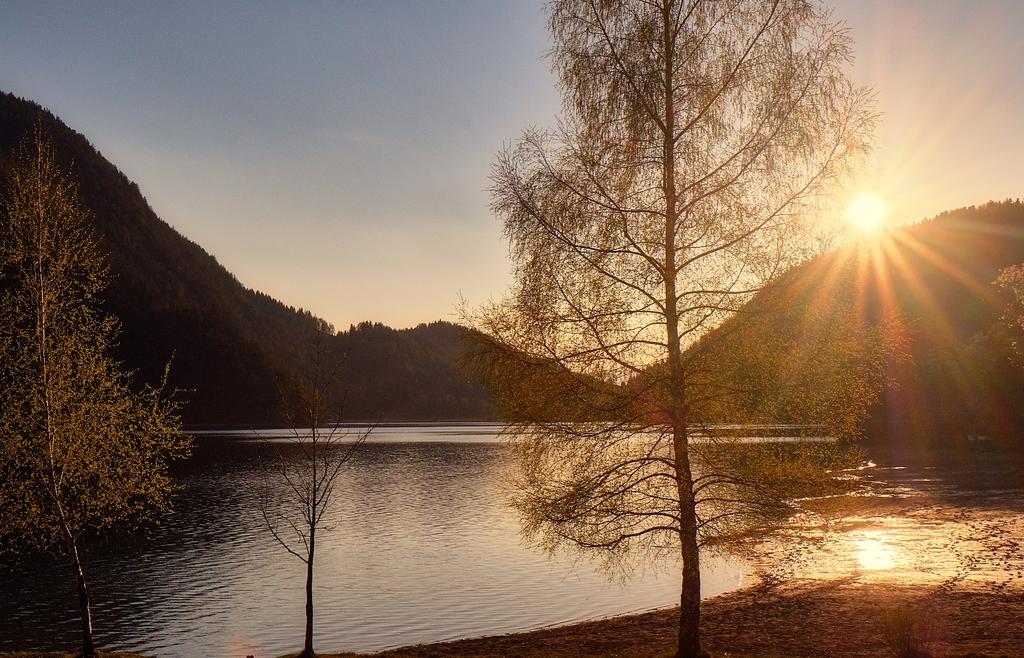 Pension Aloisia Scheffau am Wilden Kaiser Bagian luar foto
