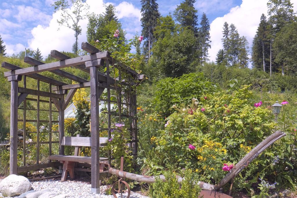 Pension Aloisia Scheffau am Wilden Kaiser Bagian luar foto
