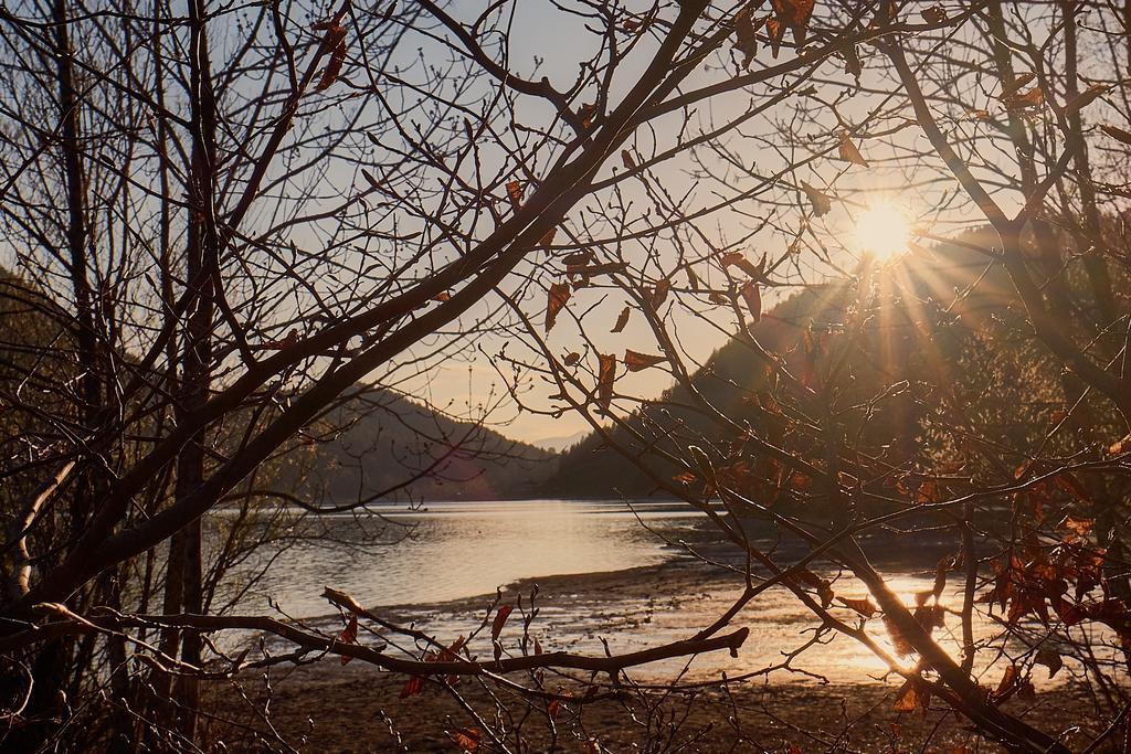 Pension Aloisia Scheffau am Wilden Kaiser Bagian luar foto