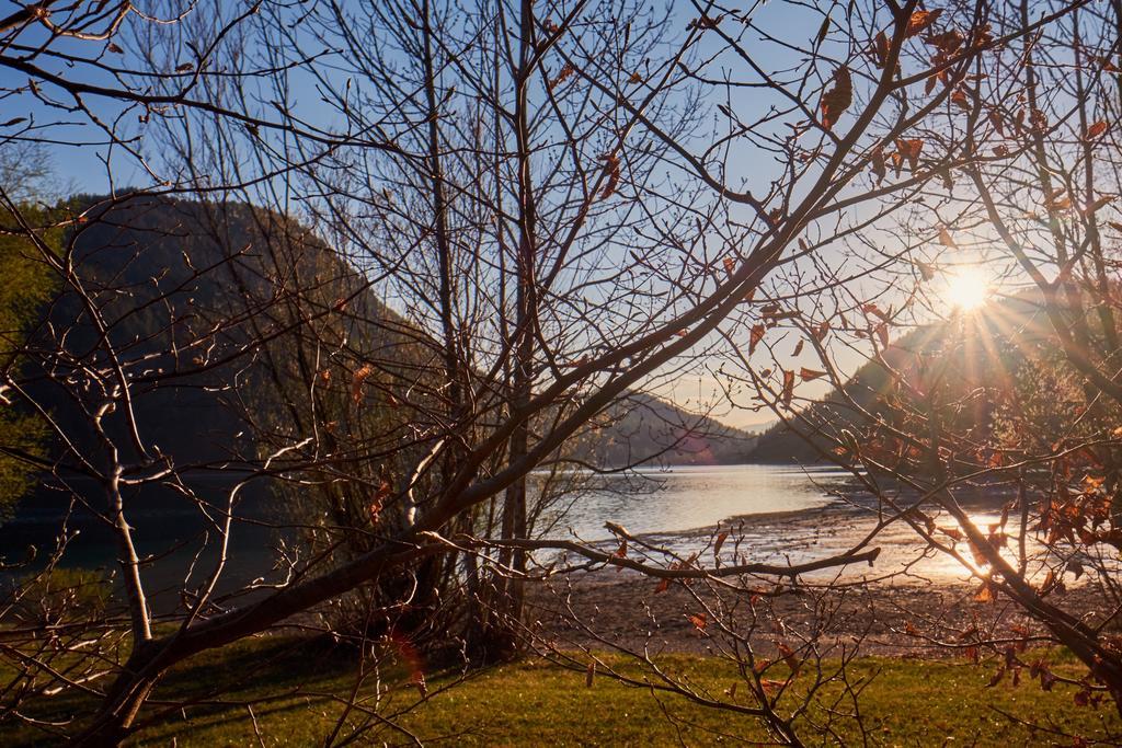 Pension Aloisia Scheffau am Wilden Kaiser Bagian luar foto
