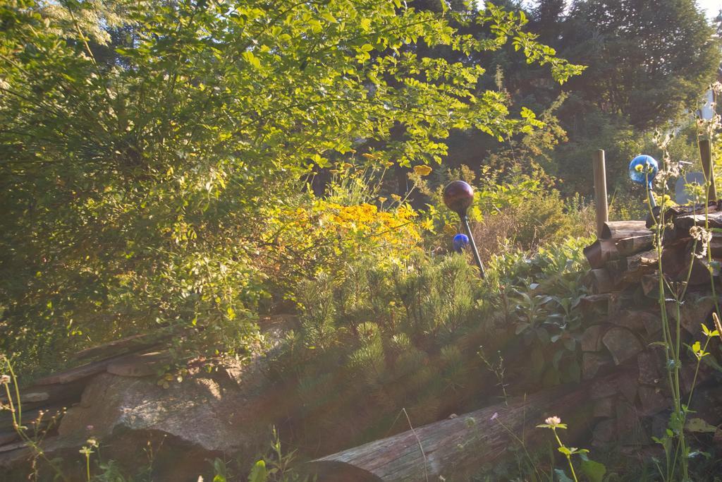 Pension Aloisia Scheffau am Wilden Kaiser Bagian luar foto