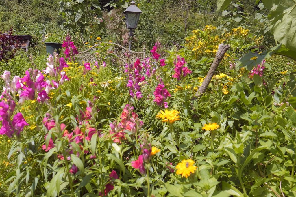 Pension Aloisia Scheffau am Wilden Kaiser Bagian luar foto