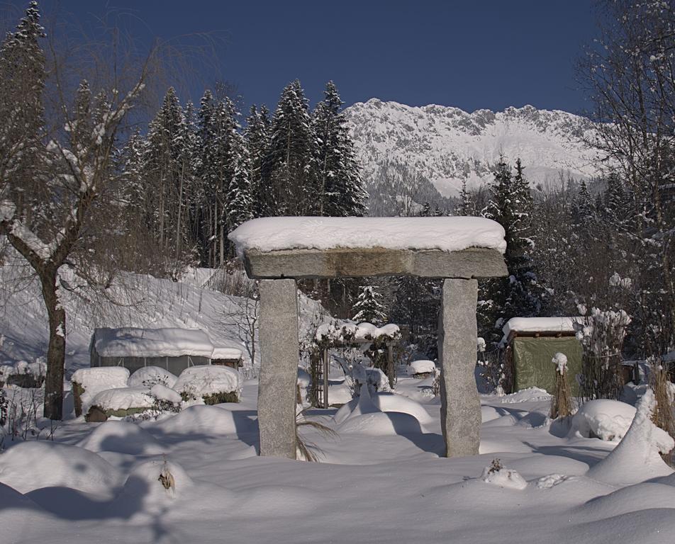 Pension Aloisia Scheffau am Wilden Kaiser Bagian luar foto