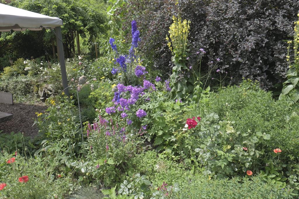 Pension Aloisia Scheffau am Wilden Kaiser Bagian luar foto