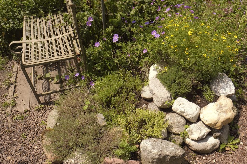 Pension Aloisia Scheffau am Wilden Kaiser Bagian luar foto