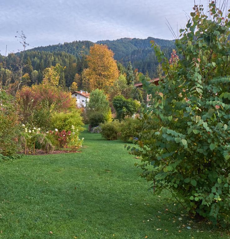 Pension Aloisia Scheffau am Wilden Kaiser Bagian luar foto