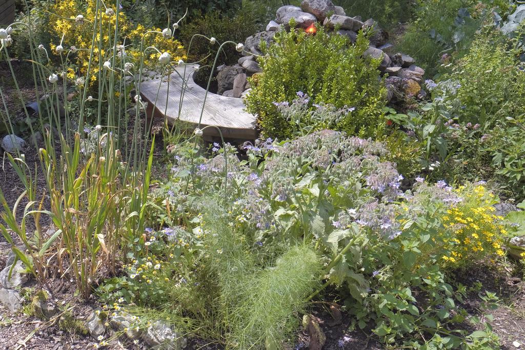Pension Aloisia Scheffau am Wilden Kaiser Bagian luar foto